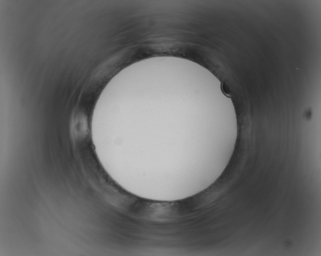 X0000116620089200912312148