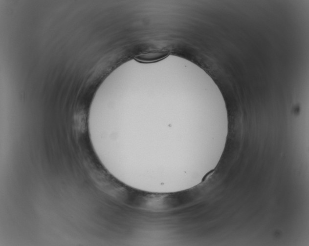 X0000116620090200912312148