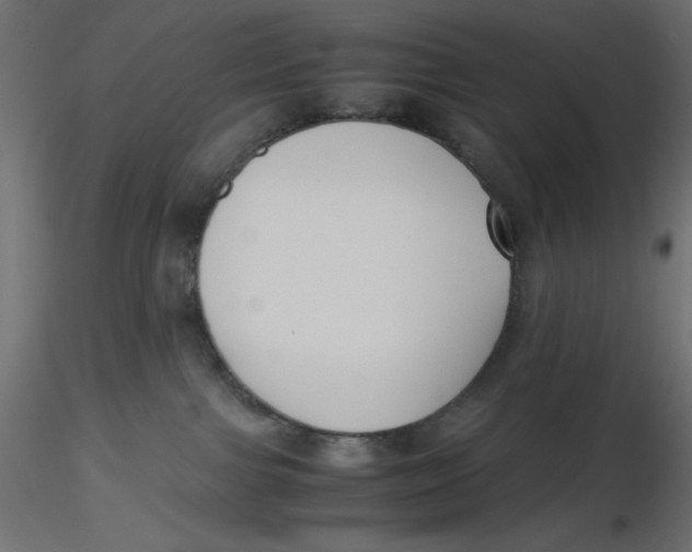 X0000116620091200912312148