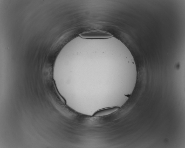 X0000116620092200912312148