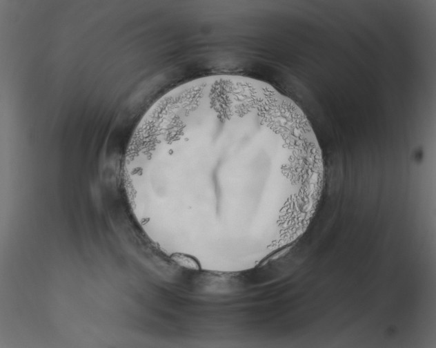 X0000116620093200912312148