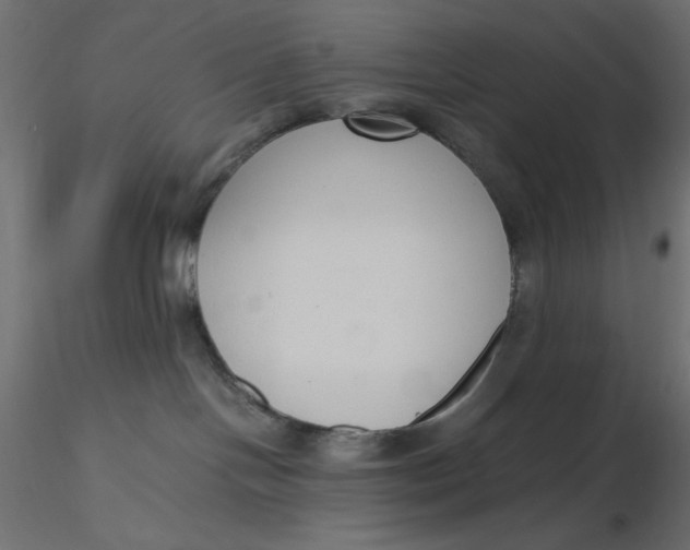 X0000116620094200912312148