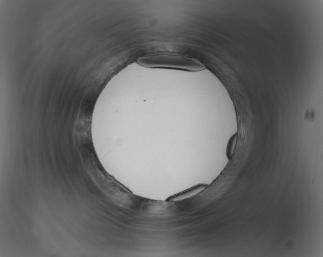 X0000116620096200912312148