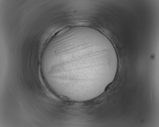 X0000116620097200912312147