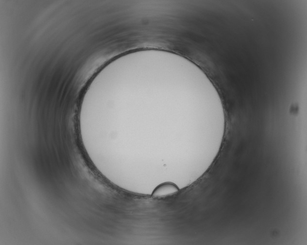 X0000116620098200912312147