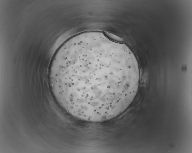 X0000116620099200912312147