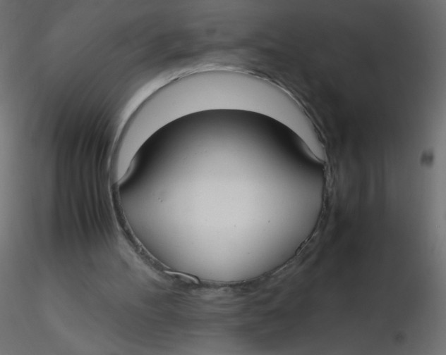 X0000116620100200912312147