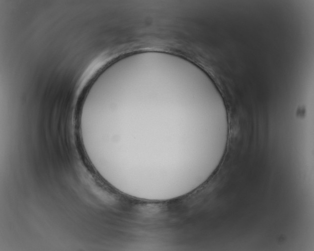 X0000116620102200912312147