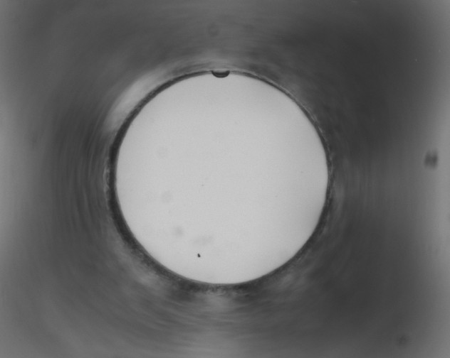 X0000116620103200912312147