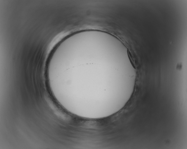 X0000116620104200912312147