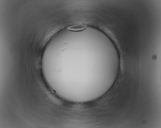 X0000116620105200912312147