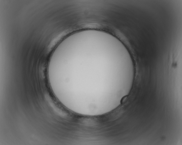 X0000116620106200912312147