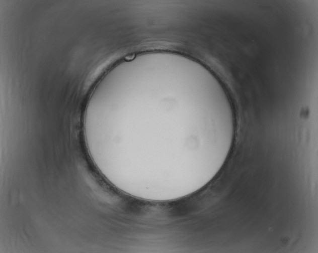 X0000116620107200912312147