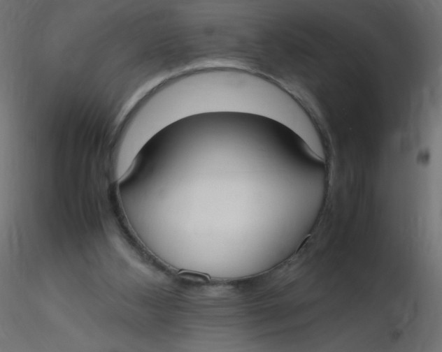 X0000116620108200912312147