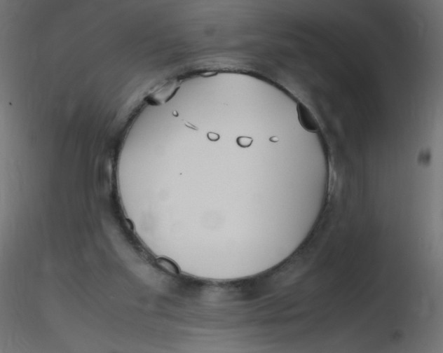 X0000116620109200912312147