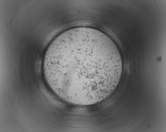 X0000116620110200912312147