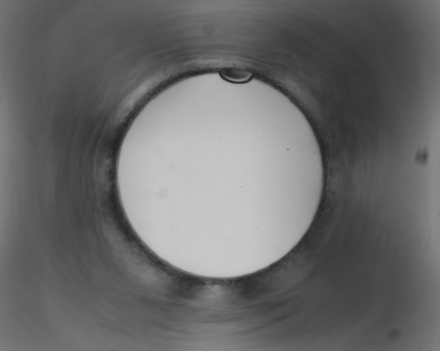 X0000116620111200912312147