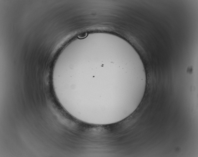 X0000116620112200912312147