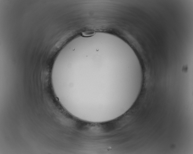 X0000116620113200912312147