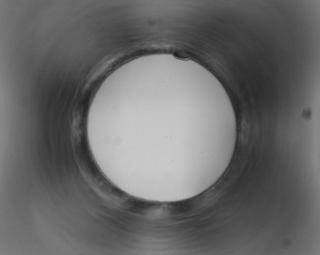 X0000116620116200912312147