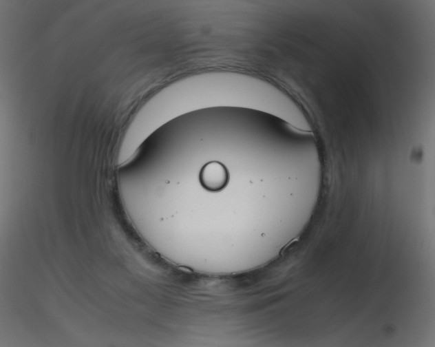 X0000116620117200912312147