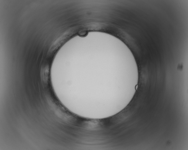 X0000116620118200912312147