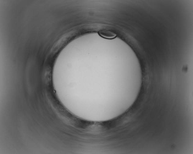 X0000116620119200912312147