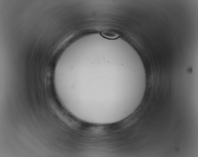 X0000116620120200912312147