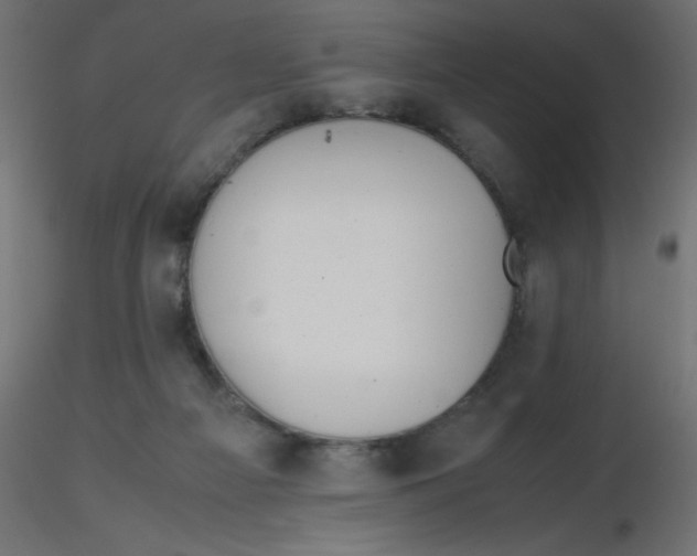 X0000116620121200912312147