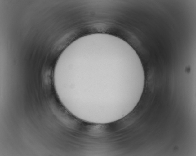 X0000116620122200912312147