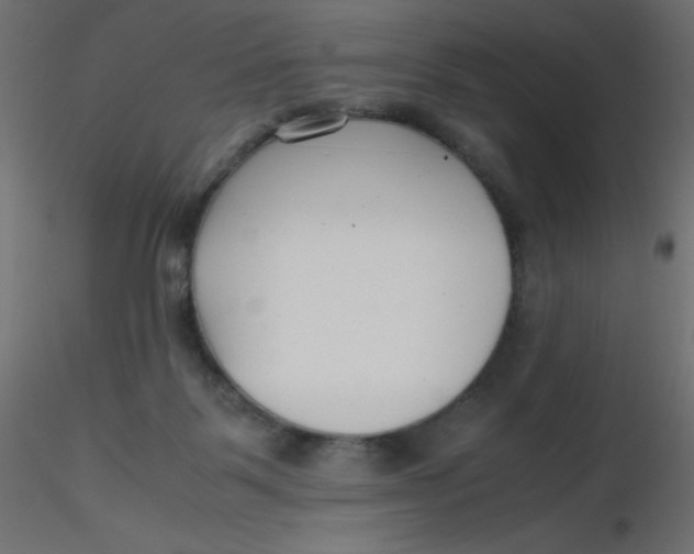 X0000116620123200912312147