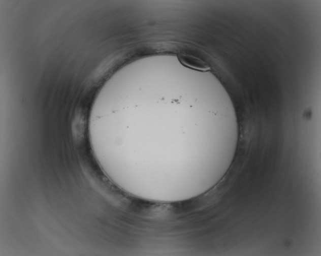 X0000116620124200912312147