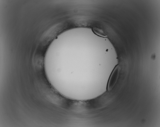 X0000116620125200912312147