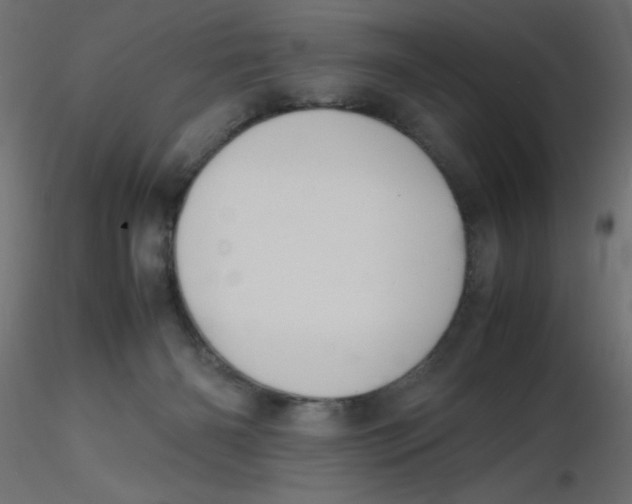 X0000116620126200912312147