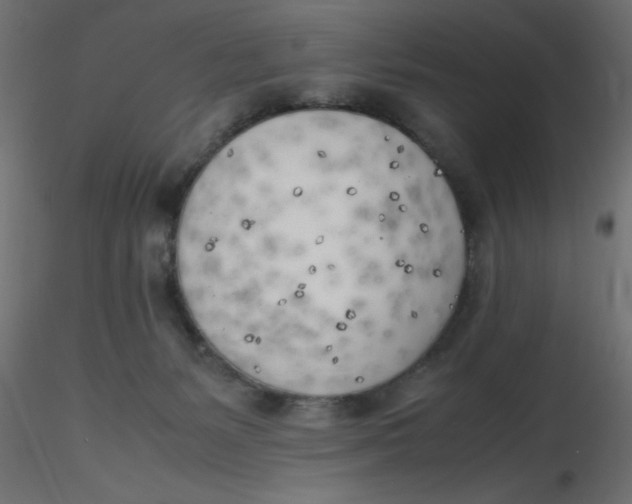 X0000116620127200912312147