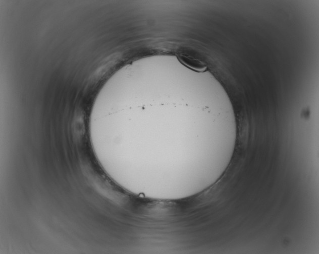 X0000116620128200912312147