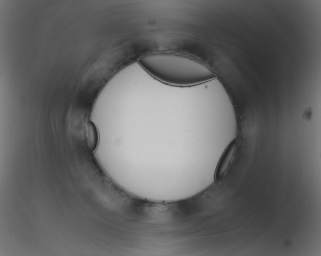 X0000116620129200912312147