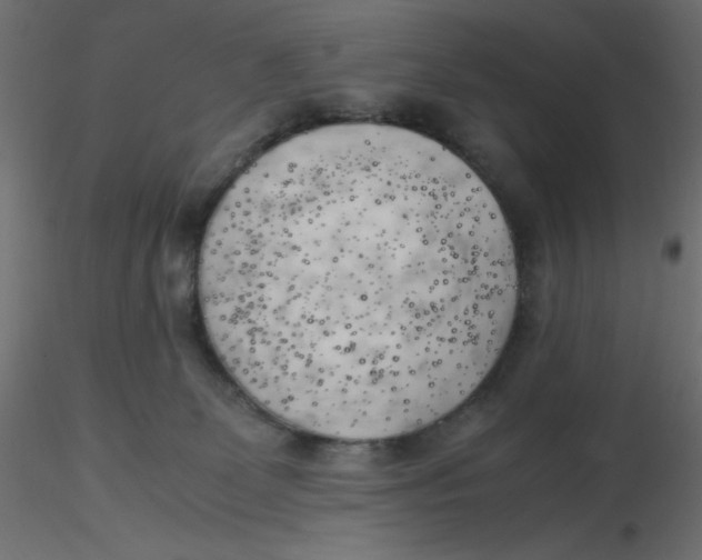 X0000116620131200912312147