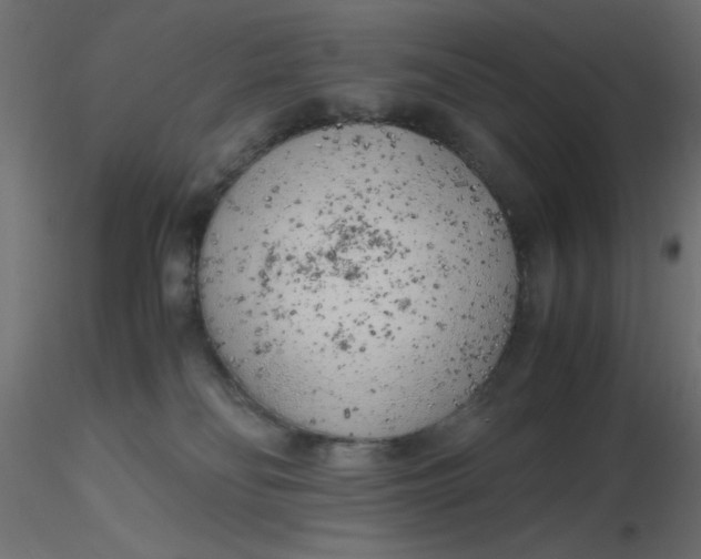 X0000116620134200912312147