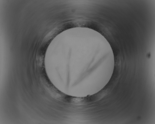 X0000116620139200912312147