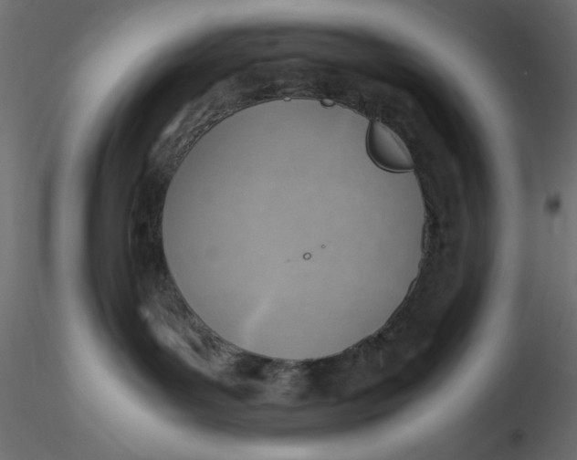 X0000116620143200912312146