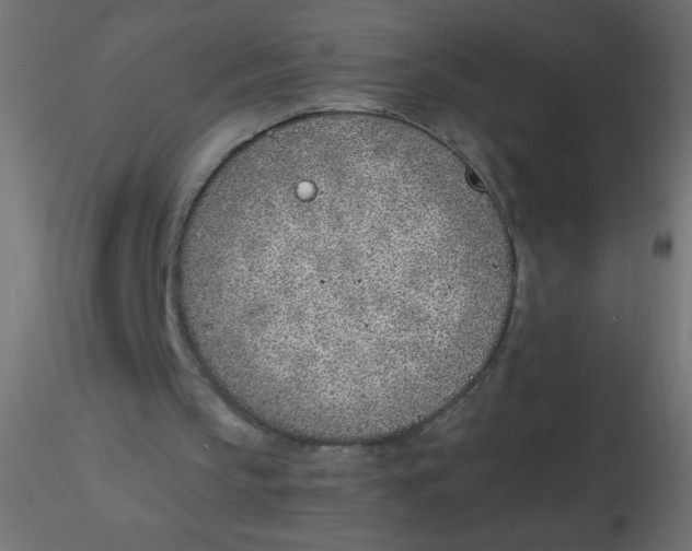 X0000116620145200912312146