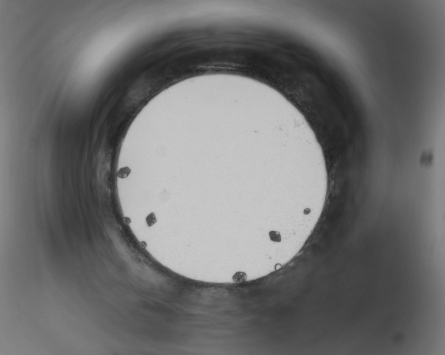 X0000116620146200912312146