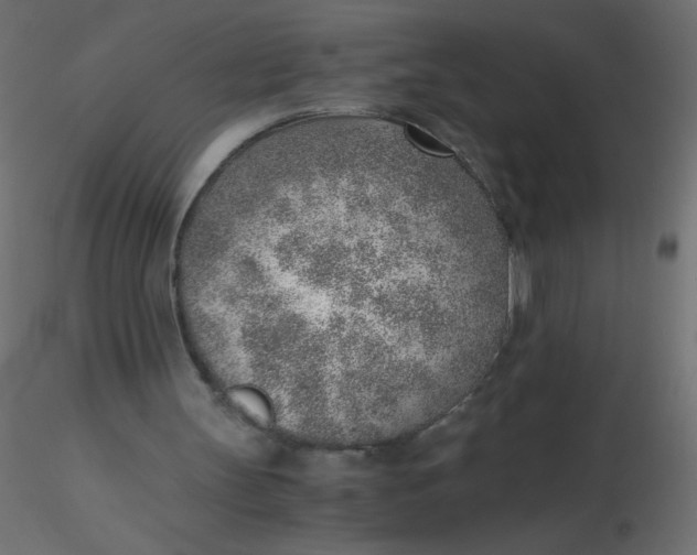 X0000116620147200912312146