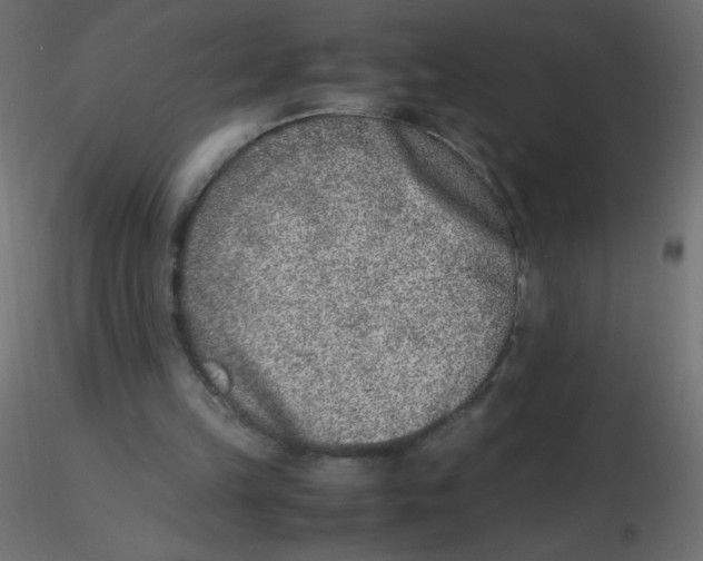 X0000116620149200912312146