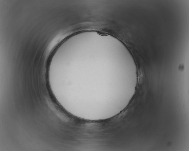 X0000116620150200912312146