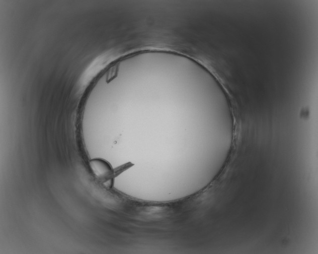 X0000116620151200912312146