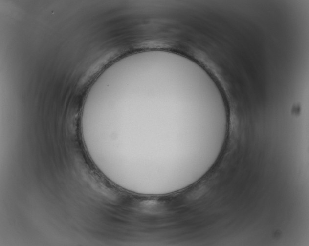 X0000116620153200912312146