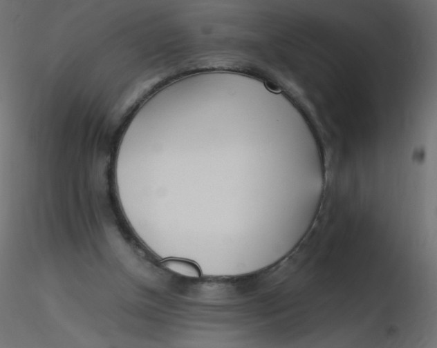 X0000116620154200912312146