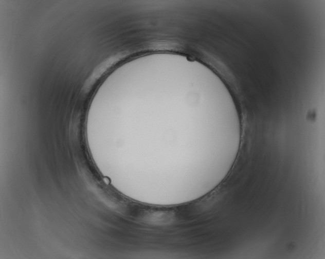 X0000116620155200912312146